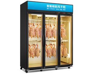 經(jīng)濟款一體式掛鴨晾胚柜